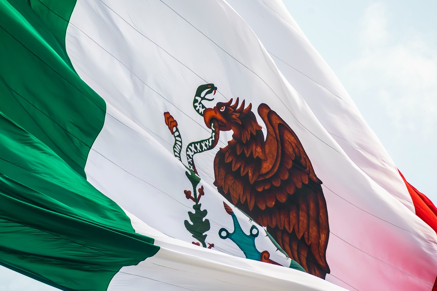 Historias de éxito: conexiones que cambian vidas
